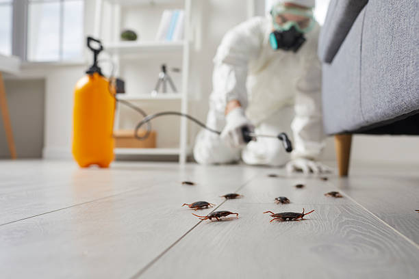Trusted Fumigation Services service in Magnolia, TX - Nex Pest Control
